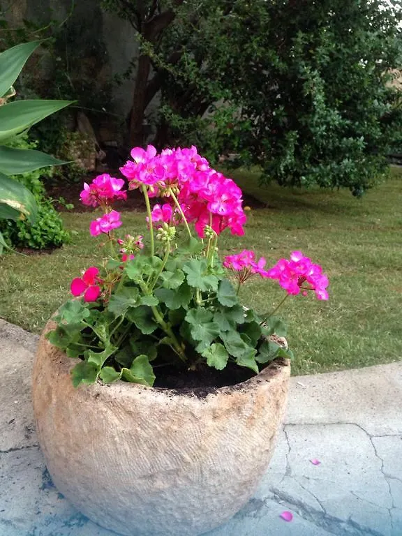 Bed and Breakfast Il Vecchio Ginepro Capoterra Italia