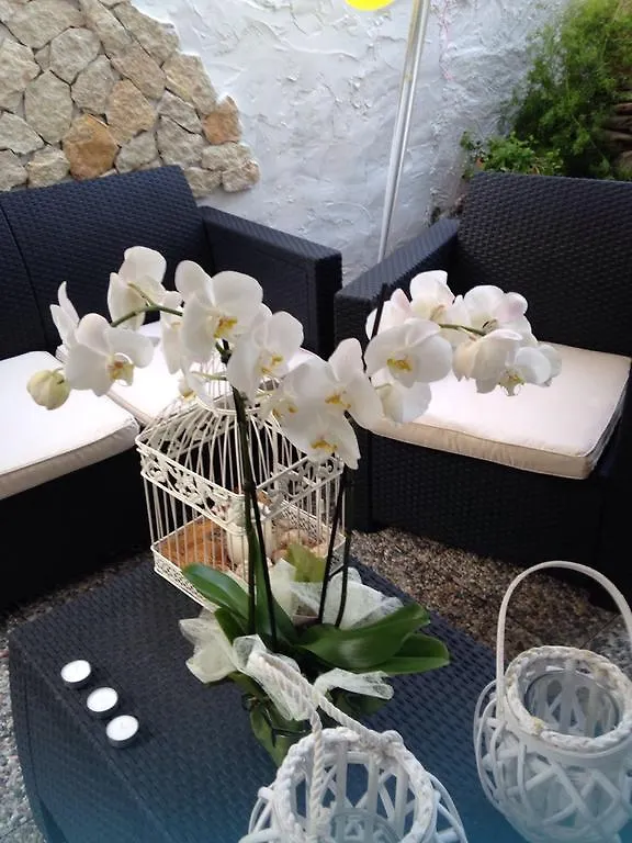 Bed & Breakfast Bed and Breakfast Il Vecchio Ginepro Capoterra Italia